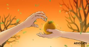 Echoes of Clementines