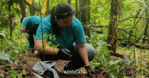 FEU pursues SDGs in PH Arbor Day tree planting
