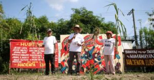 Hacienda Luisita farmers face undistributed, stolen hectares by giant corps