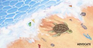 Someday, I’ll Be a Turtle