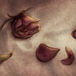 Flowers Were Never Meant For Someone Like Me
