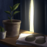Little things that let the light in