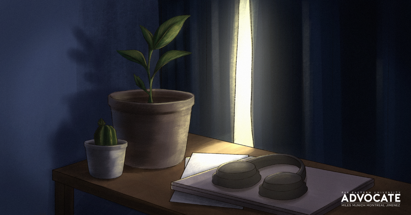 Little things that let the light in